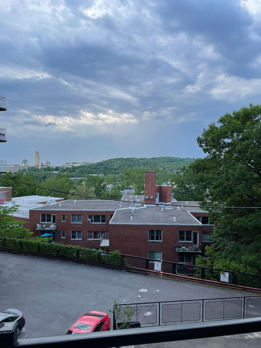 Renovated / Rennove - 3605 Av. Ridgewood, Montréal