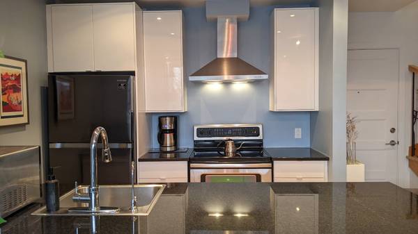 Furnished Condo Rental - 2 Bed Suite, Private Garden, Rooftop Patio