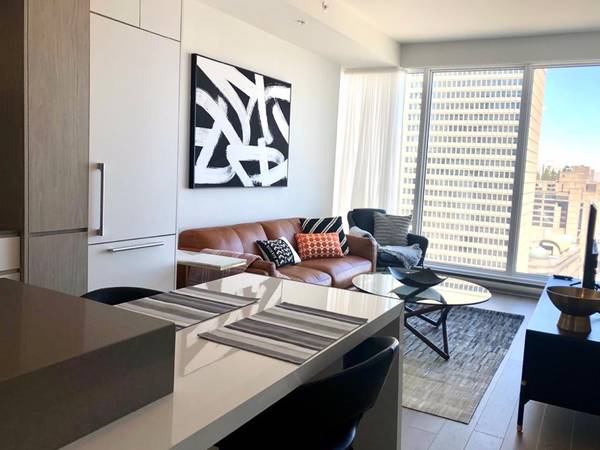 Furnished Condo Rental - 1 Bed, 1 Bath, Modern Kitchen, Upscale Decor