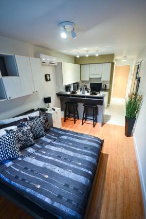 Studio meuble a louer sur le Plateau Mont Royal