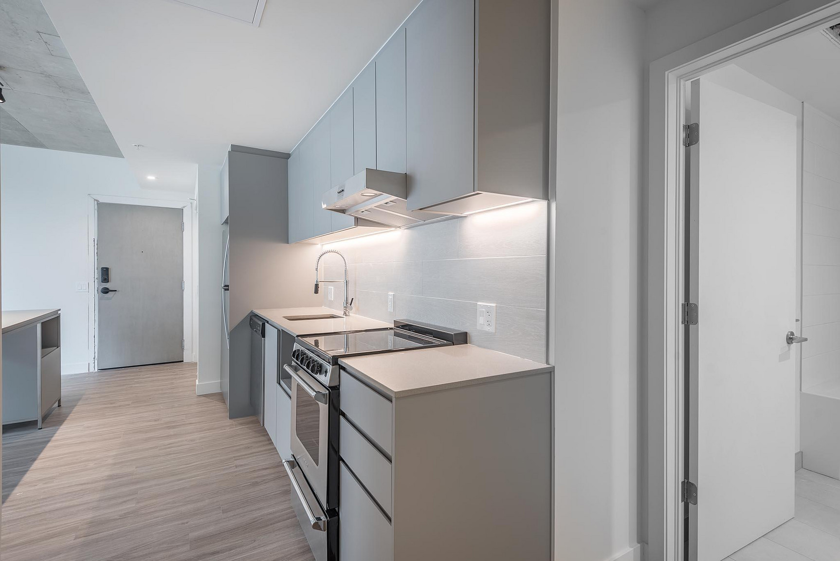 1 Bedroom - 5250 Assomption, Montréal