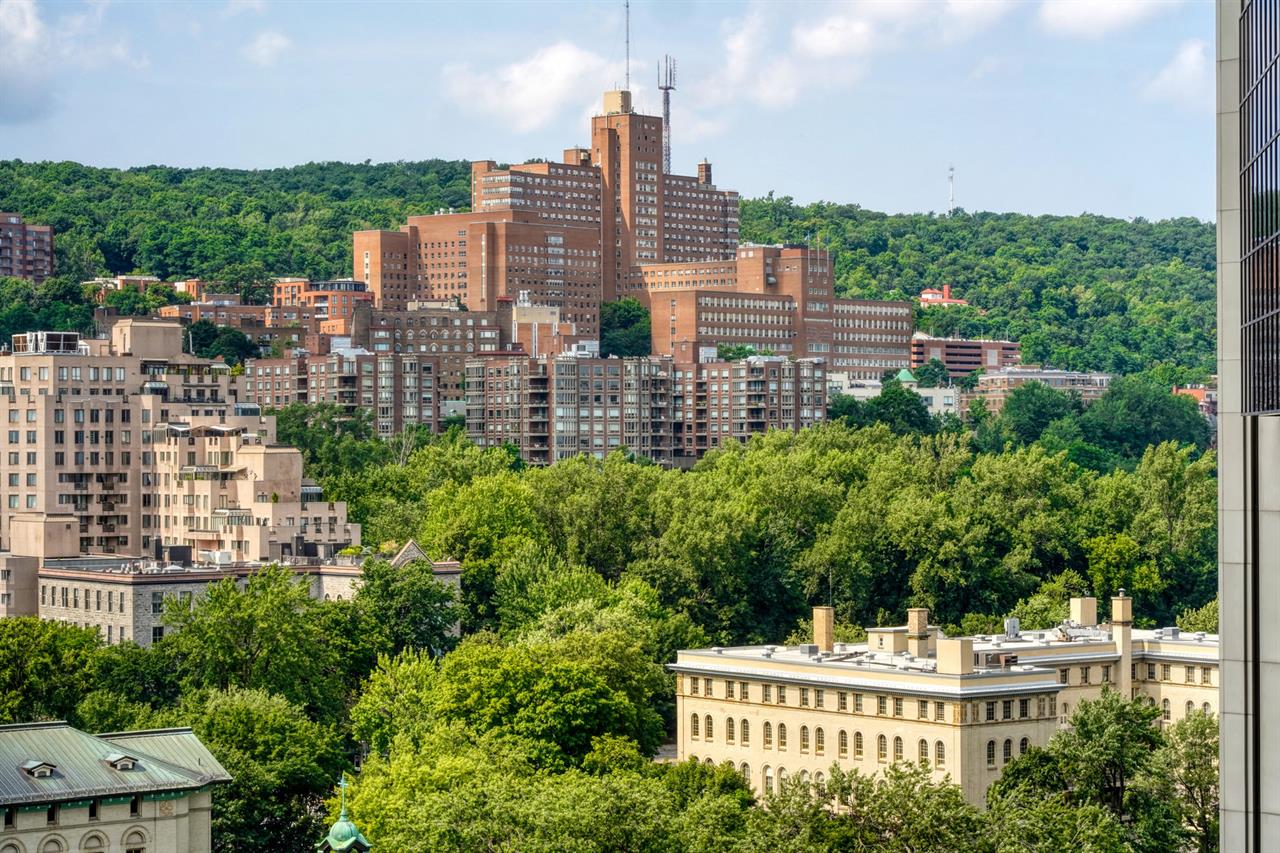 3 1/2 - 4000 De Maisonneuve Blvd. West, Montréal