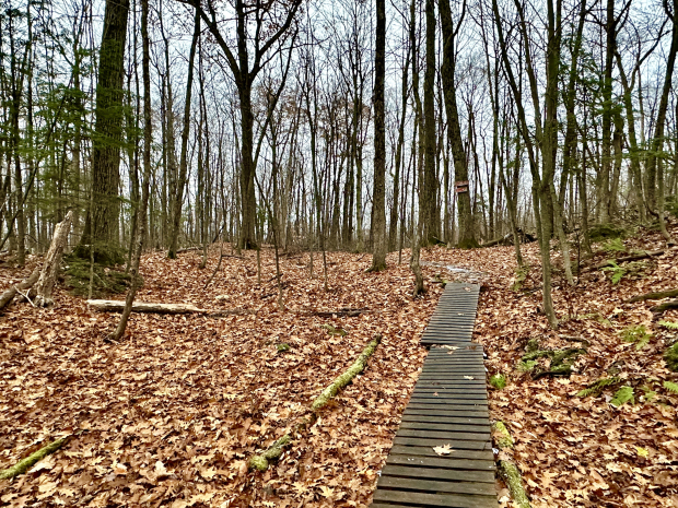 Maison Privé Connecté Au Parc Gatineau