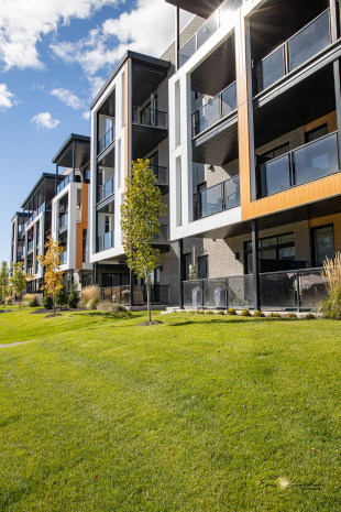 Magnifique Condo Au Cœur Du Plateau