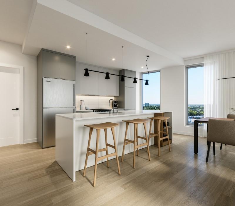 1-bedroom - 450 Rue Saint-François-Xavier, Montréal