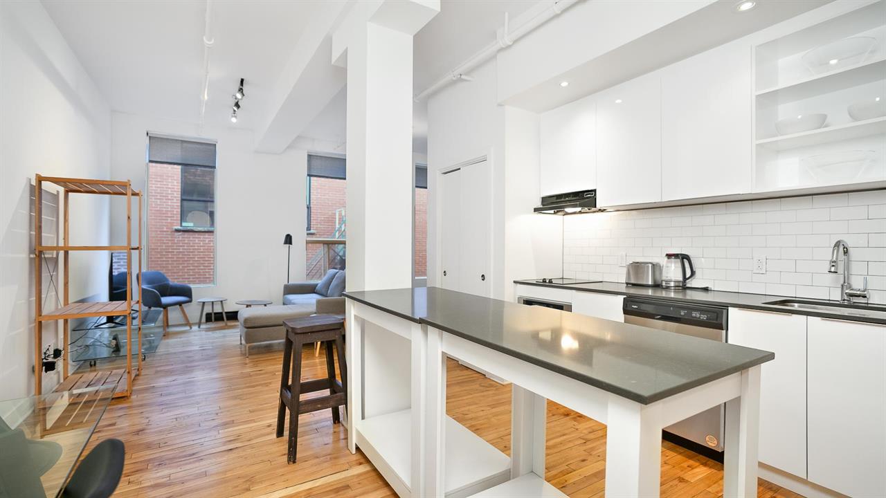 #205, Furnished Loft - 4521 Ave Clark, Montréal