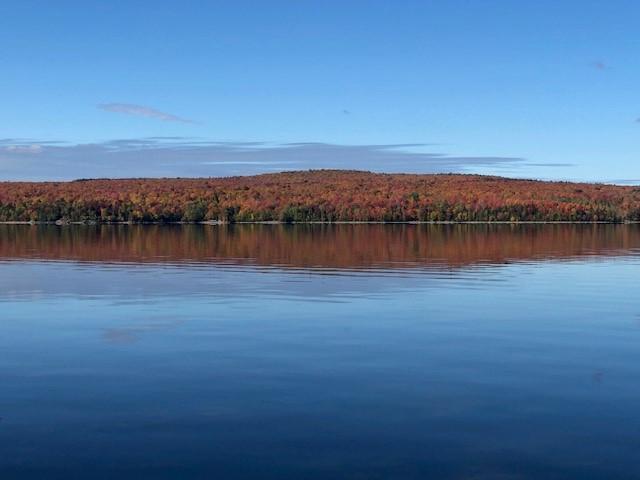 4 1/2 -REZ-DE-JARDIN- BORD DE L'EAU- LAC-MÉGANTIC