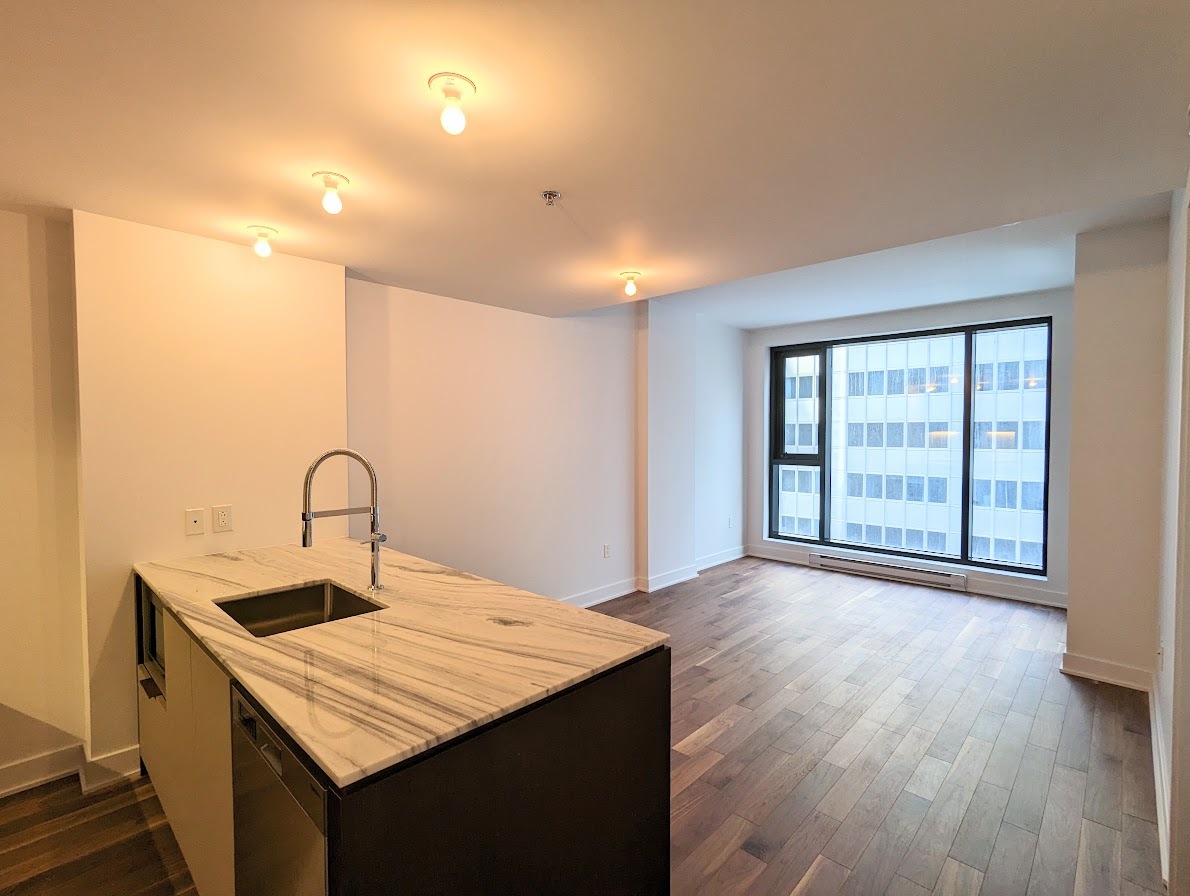 1 Bedroom - 2060 Rue Peel, Montréal