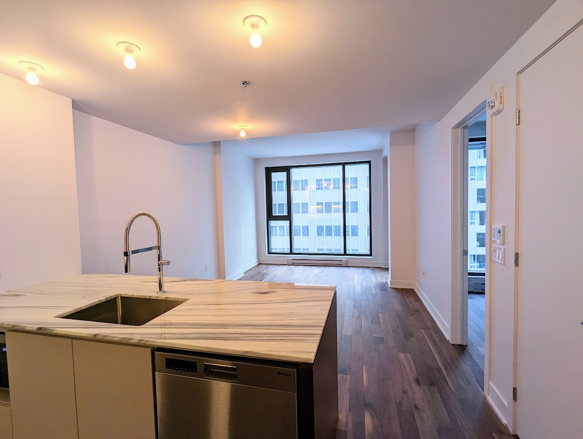 1 Bedroom - 2060 Rue Peel, Montréal