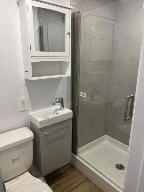 Studio - Montréal - $1,285 /mo