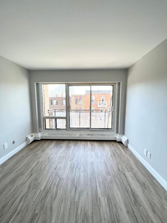 Studio - Montréal - $1,020 /mo