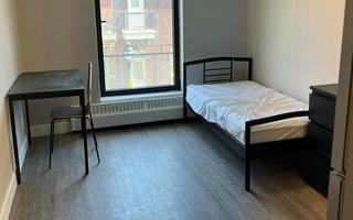 Studio - Montréal - $1,245 /mo