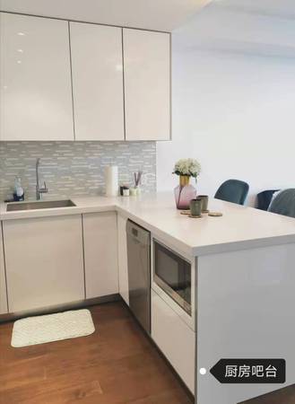 Huge 3.5 in Montreal Downtown FULLY FURNISHED