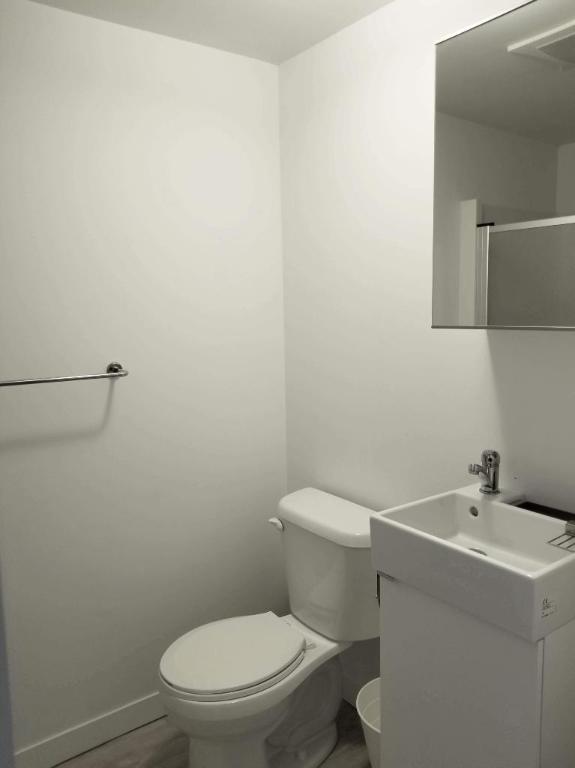 Studio - Montréal - $1,195 /mo