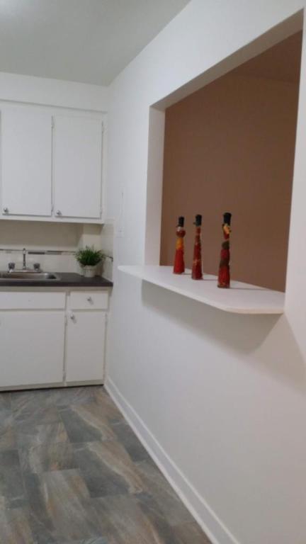 Studio - Montréal - $1,095 /mo