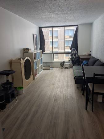 3.5/1 bedroom apartment close to downtown