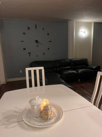 Beautiful 4&1/2 apartment for rent on Boul. Henri-Bourassa