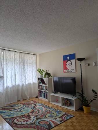 great sunny downtown entirely equipped to sublet