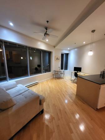 APPARTEMENT SPACIEUX 2 1/2 MEUBLÉ sur Saint Denis et Sherbrooke!