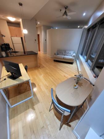 APPARTEMENT SPACIEUX 2 1/2 MEUBLÉ sur Saint Denis et Sherbrooke!