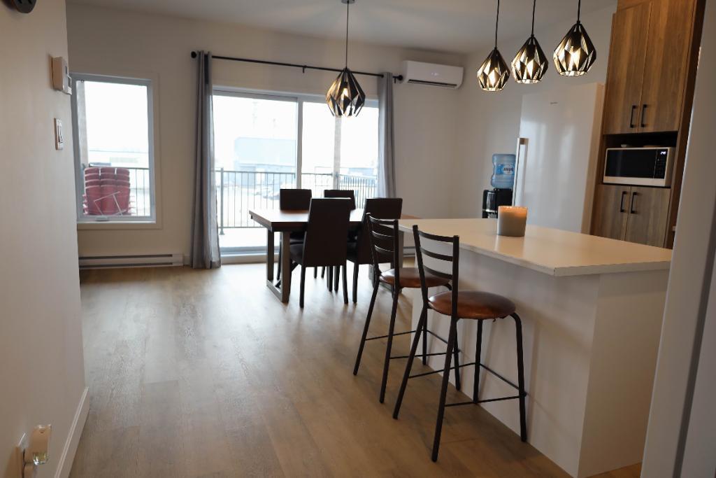 Spacieux logements 3 chambres 2022 St-Hyacinthe 1ER OCT à louer - appartement Saint-Hyacinthe