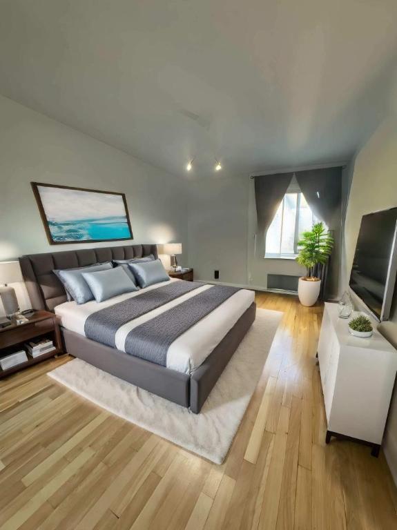 1 CH - 1 SDB - Montréal - $1,350 /mo