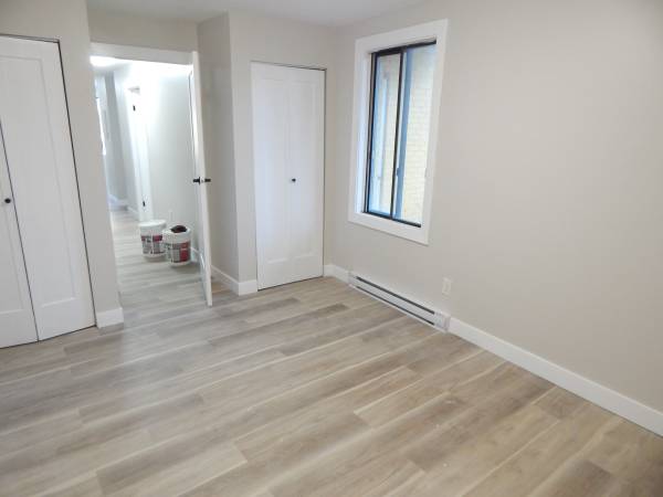 Newly renovated Bright 1-bedroom Apartment