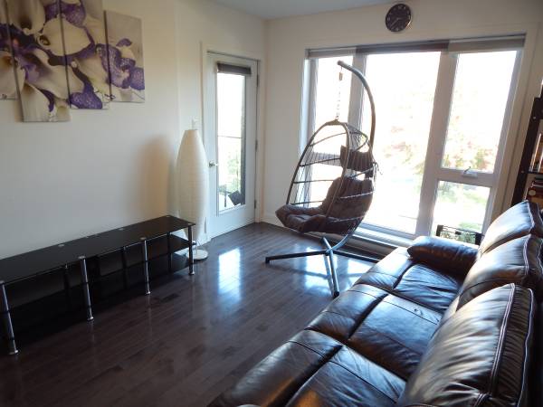 Fully Furnished 2-bedroom Condo in LaSalle