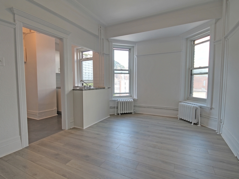 1 Bedroom - 3610 Durocher Street, Montréal