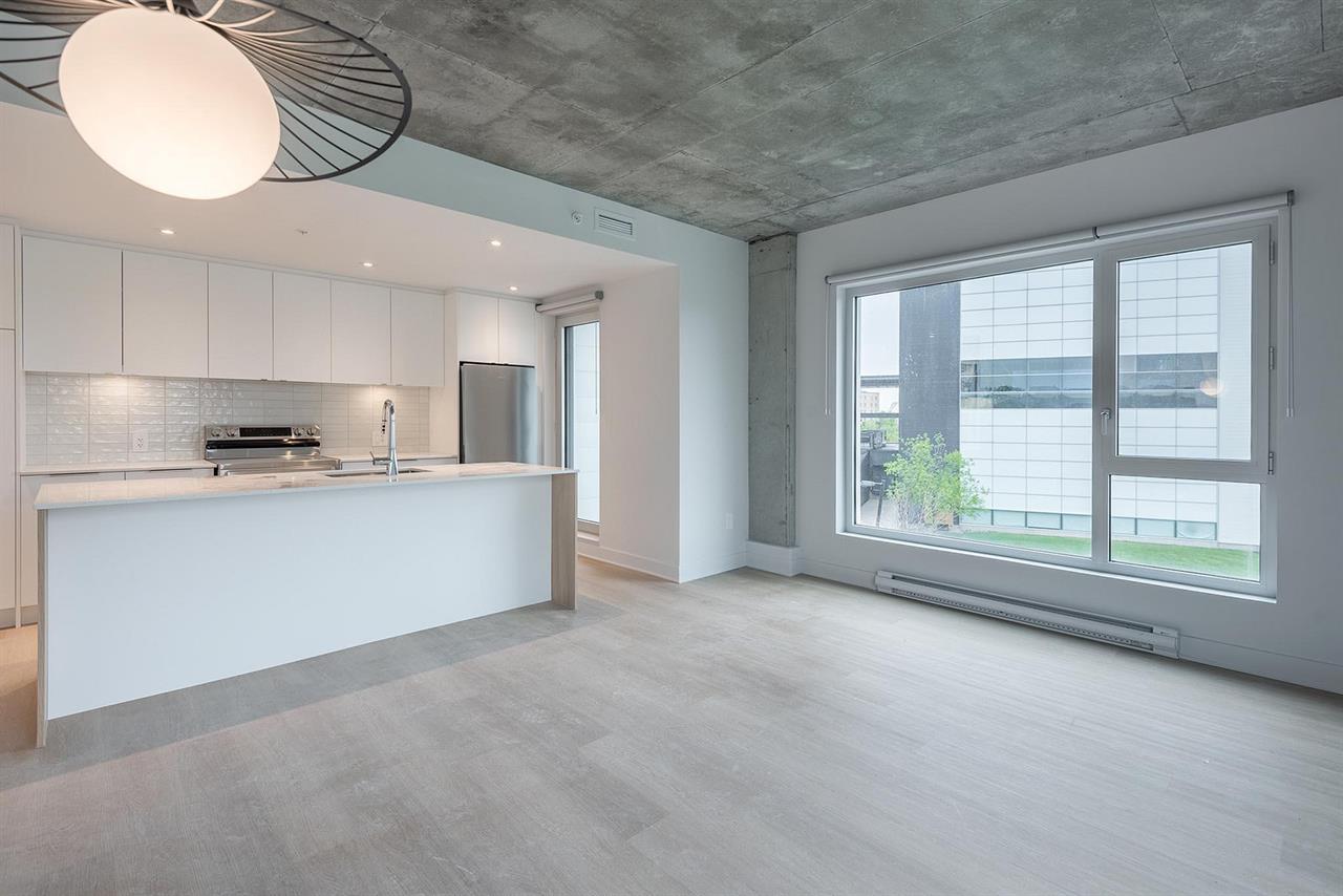 1 Bedroom - 8305 Avenue Du Cirque, Montréal