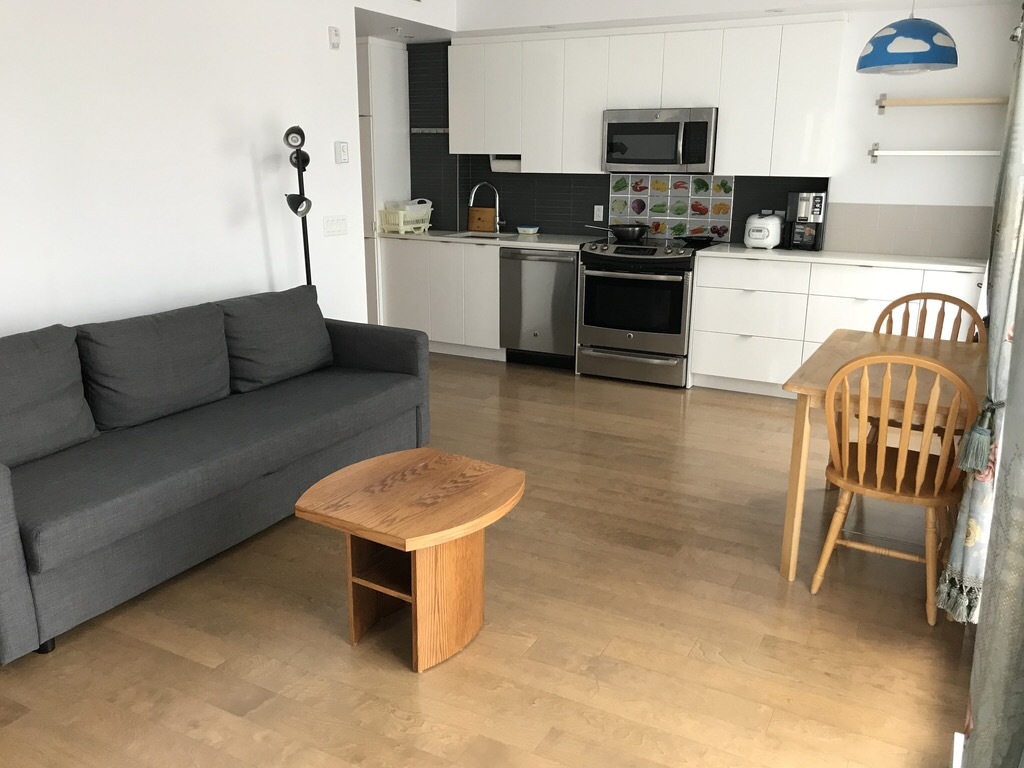 1 Bedroom - 1181 Rue Bishop, Montréal