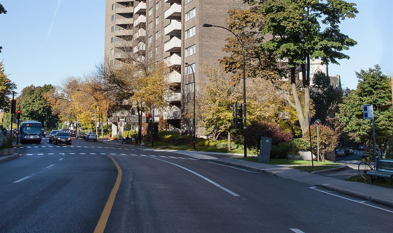 195 Côte-Ste-Catherine Road - 1 Bedroom - 195 Chemin De La Côte-Sainte-Catherine, Montréal