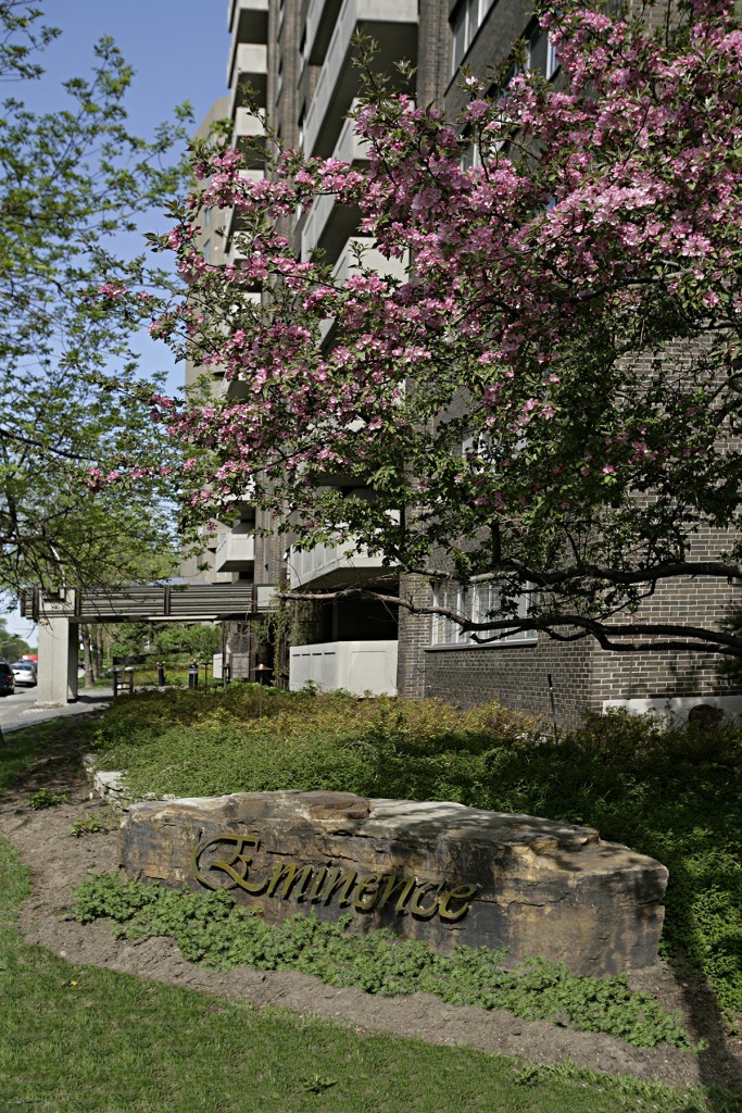 195 Côte-Ste-Catherine Road - 1 Bedroom - 195 Chemin De La Côte-Sainte-Catherine, Montréal