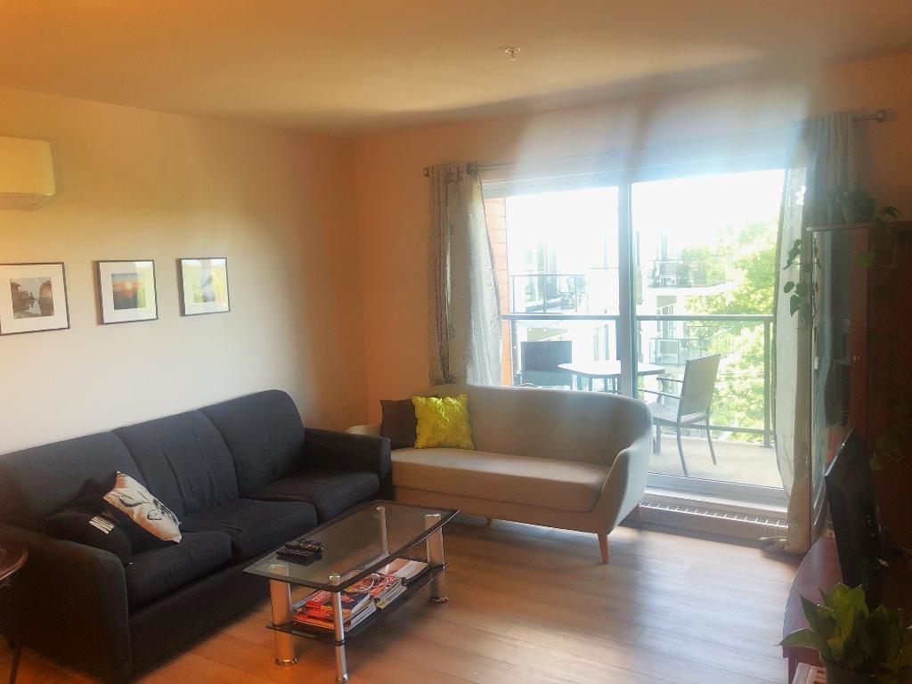 Condo locatif - 3 ½ - 1600$/mois - 2 premiers mois inclus!