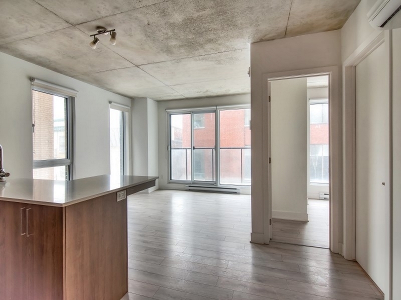 2 Bedrooms - 1325 Saint-Andre Street, Montréal