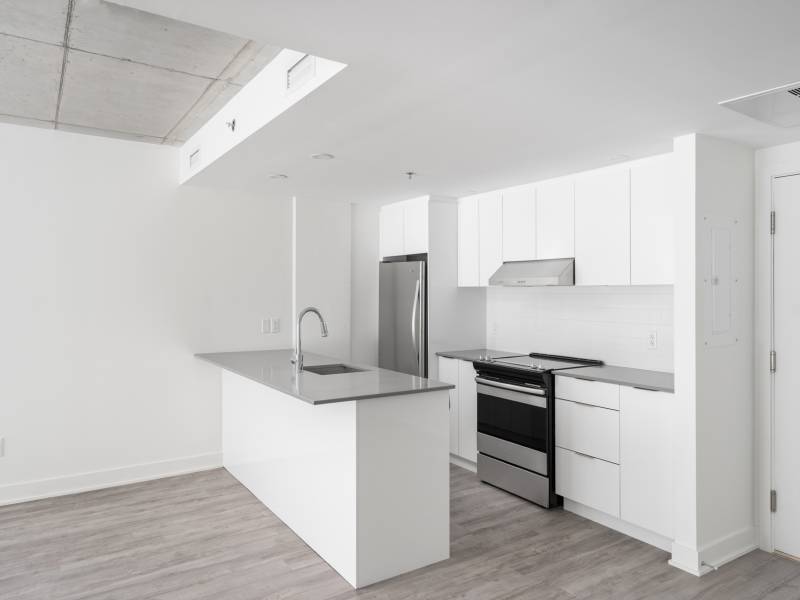 2 Bedroom - 1255 Rue Saint-Dominique, Montréal