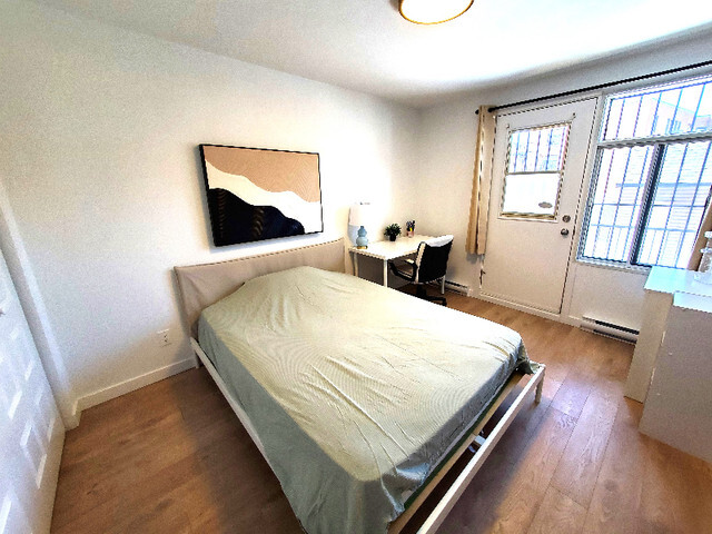 1 Bedroom - 3705 Rue Rachel E, Montréal