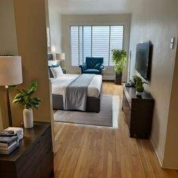 Studio - Montréal - $1,095 /mo