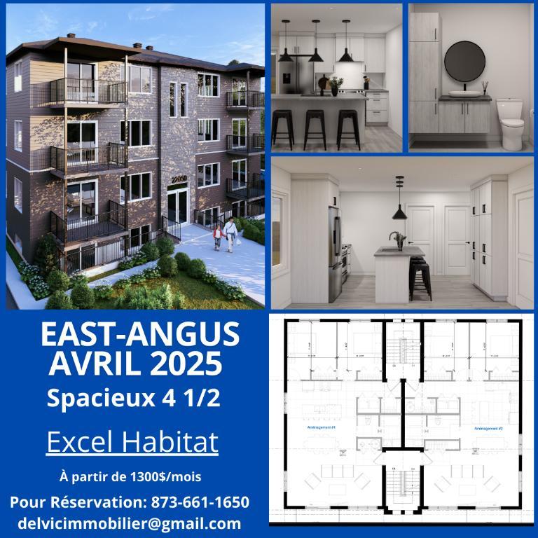 Logement à Louer 4.5 neuf Sherbrooke, East-Angus, Ascot-Corner,Lac-Mégantic, Haut St-Francois