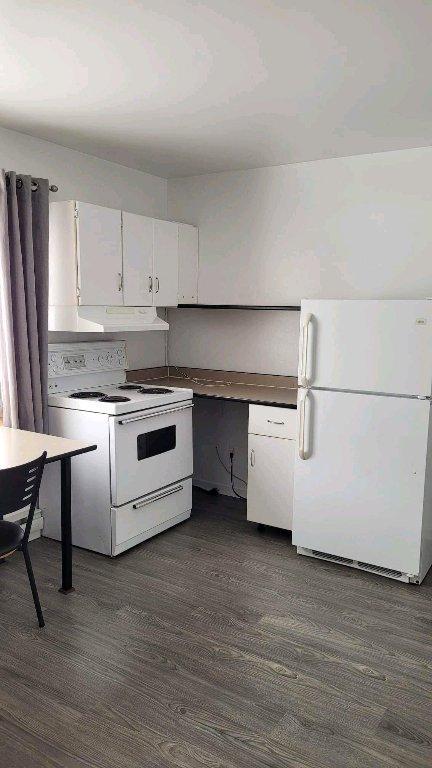 Appartement 1 1/2 à Saint Paul de Montminy