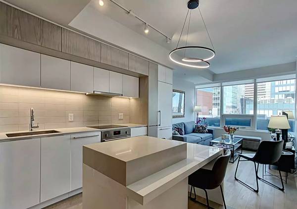 Montreal Furnished Condo Rental - Lux 1 Bed, Den Suite, Rooftop View