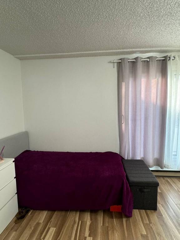 Appartment Studio