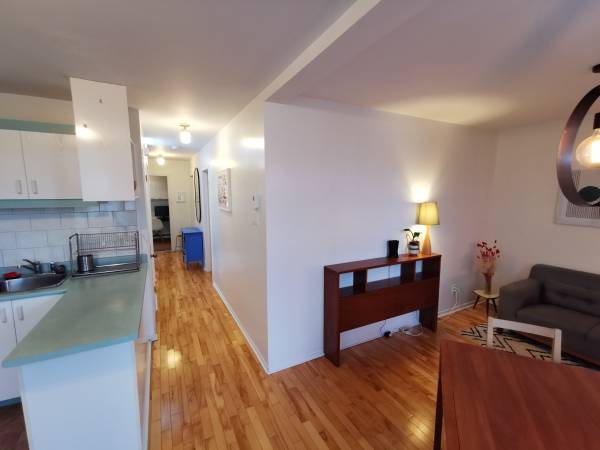 Appartement meublé & équipé Plateau - lumineux, tout à pied