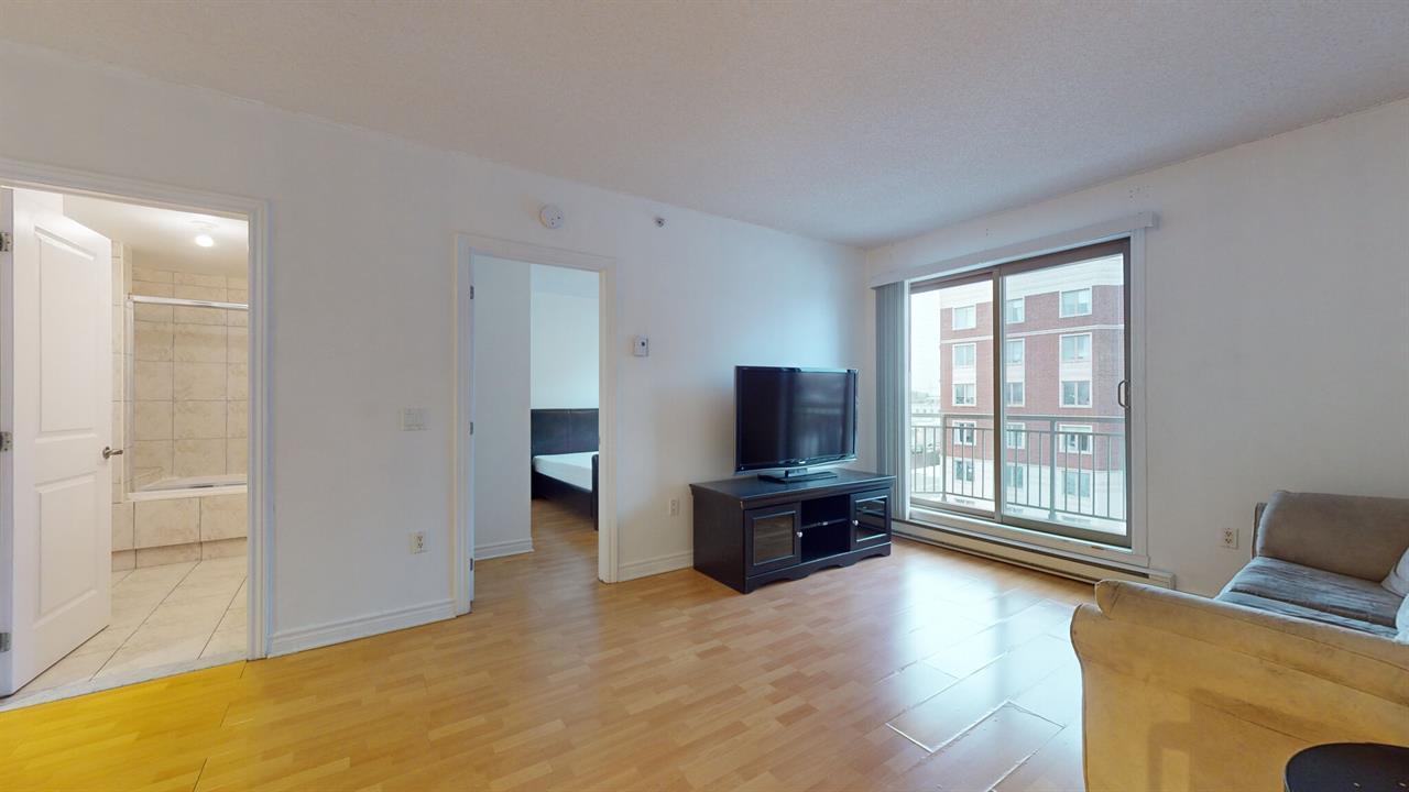 1 Bedroom - 1350 Rue Palerme, Montréal