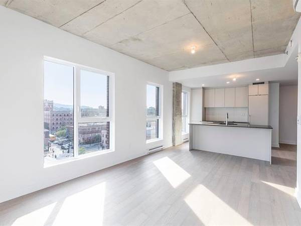 Brand new Condo 3 1/2 near metro Frontenac on 7th floor for rent