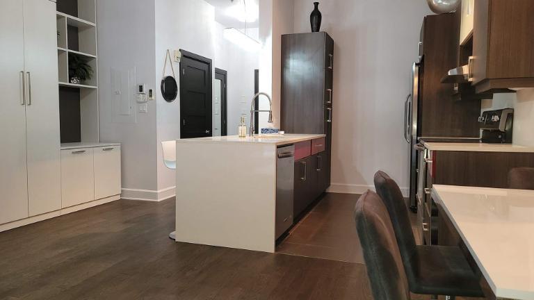 Studio - Montréal - $1,395 /mo