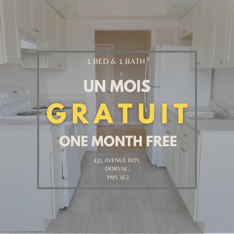 UN MOIS GRATUIT I Spacieux UNE chambre à louer - 1500$/MOIS