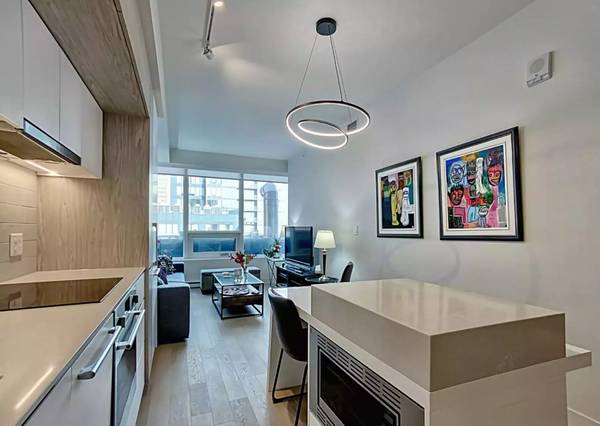 Montreal Furnished Condo Rental - Lux 1 Bed, Den Suite, Rooftop View