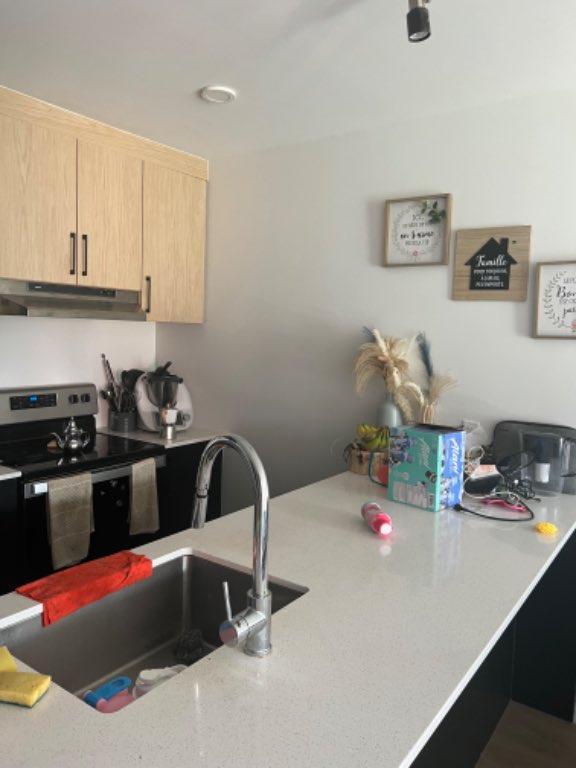 Appartement 4 et demi tout inclus Longueuil pas loin du metro chiens acceptes