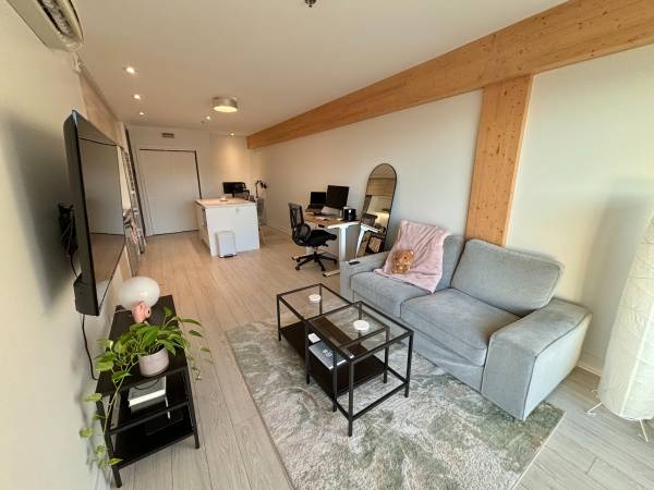 Bright 1 Bed 1 Bath Griffintown